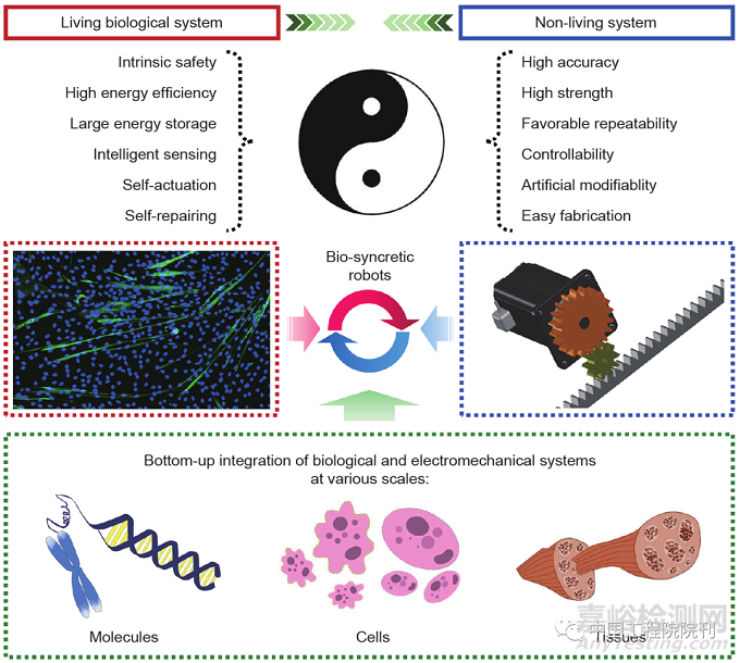 類生命機(jī)器人發(fā)展與未來挑戰(zhàn)