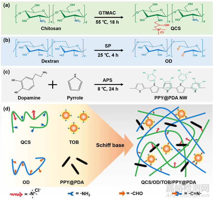 西安交大：細(xì)菌生長誘導(dǎo)抗生素智能釋放的自愈合水凝膠敷料用于促進(jìn)細(xì)菌感染的燒傷傷口愈合