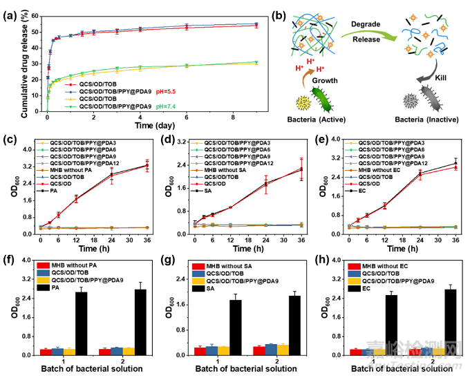 西安交大：細(xì)菌生長誘導(dǎo)抗生素智能釋放的自愈合水凝膠敷料用于促進(jìn)細(xì)菌感染的燒傷傷口愈合