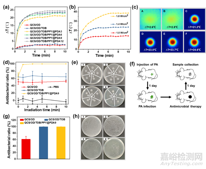 西安交大：細(xì)菌生長誘導(dǎo)抗生素智能釋放的自愈合水凝膠敷料用于促進(jìn)細(xì)菌感染的燒傷傷口愈合