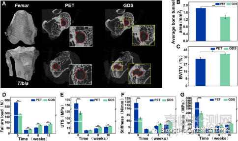 具有動(dòng)態(tài)力學(xué)性能和空間適配性的再生過程匹配支架用于韌帶重建