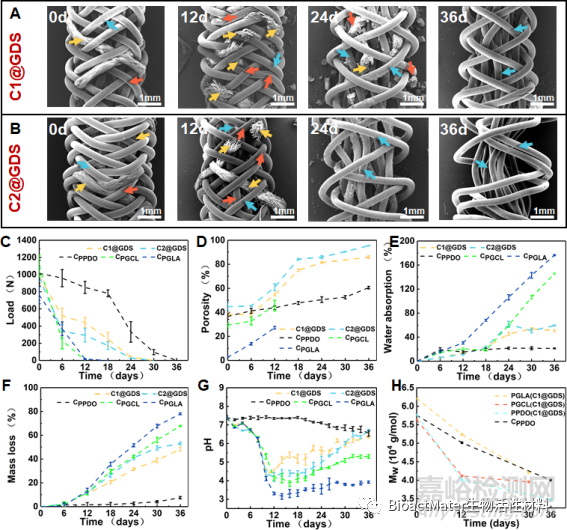 具有動(dòng)態(tài)力學(xué)性能和空間適配性的再生過程匹配支架用于韌帶重建
