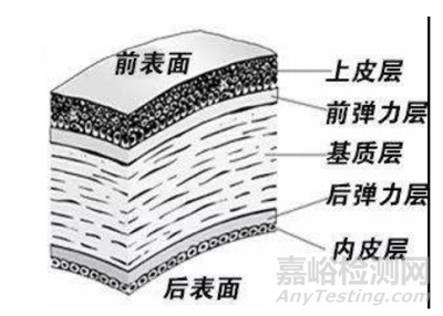 準(zhǔn)分子激光角膜屈光治療儀臨床試驗(yàn)設(shè)計(jì)思路