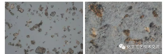 有機(jī)藥物領(lǐng)域中出現(xiàn)的多晶型