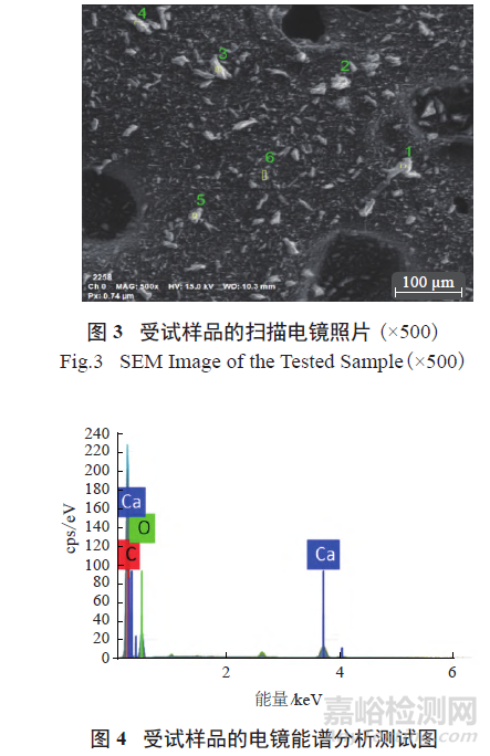 酮咯酸氨丁三醇注射液中可見微粒的分析及控制方法