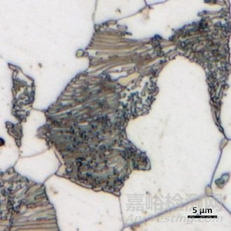 金屬表面形貌分析與表征方法