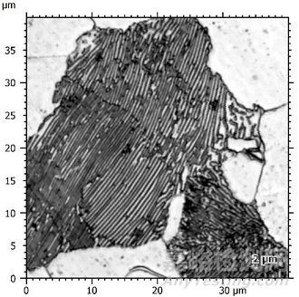 金屬表面形貌分析與表征方法