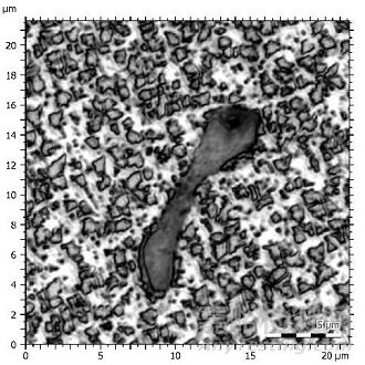 金屬表面形貌分析與表征方法