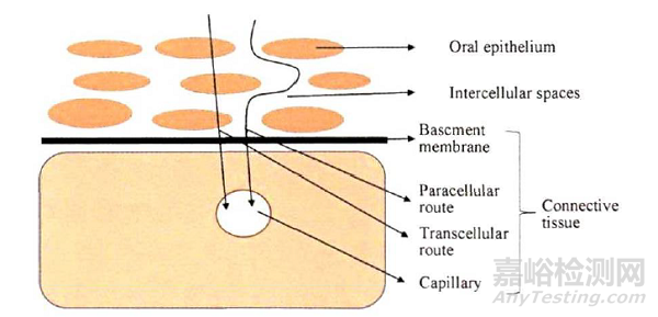 口腔黏膜給藥系統(tǒng)研究中的挑戰(zhàn)與發(fā)展