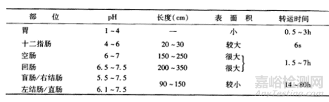 口服固體制劑體內(nèi)吸收之絕佳之地-小腸