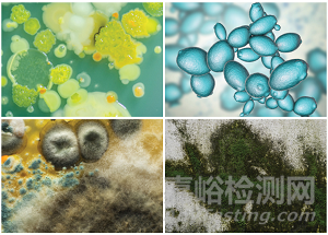 抗菌添加劑的新應(yīng)用與技術(shù)發(fā)展