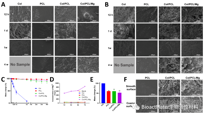 光固化Col/PCL/Mg復合引導骨再生膜的時空維持性能和成骨性能研究