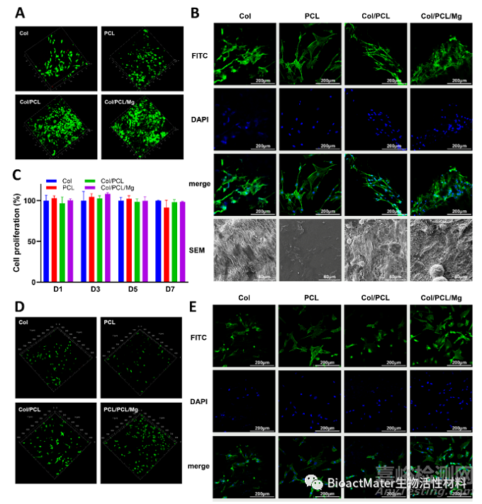 光固化Col/PCL/Mg復合引導骨再生膜的時空維持性能和成骨性能研究