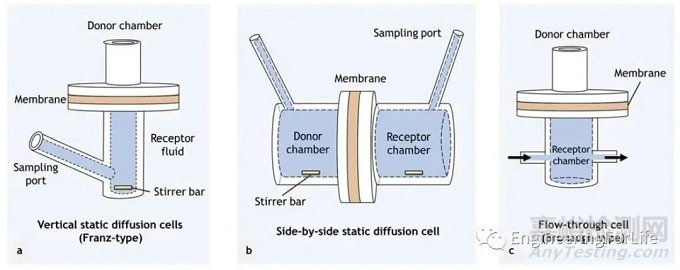 微針類型與制備方法