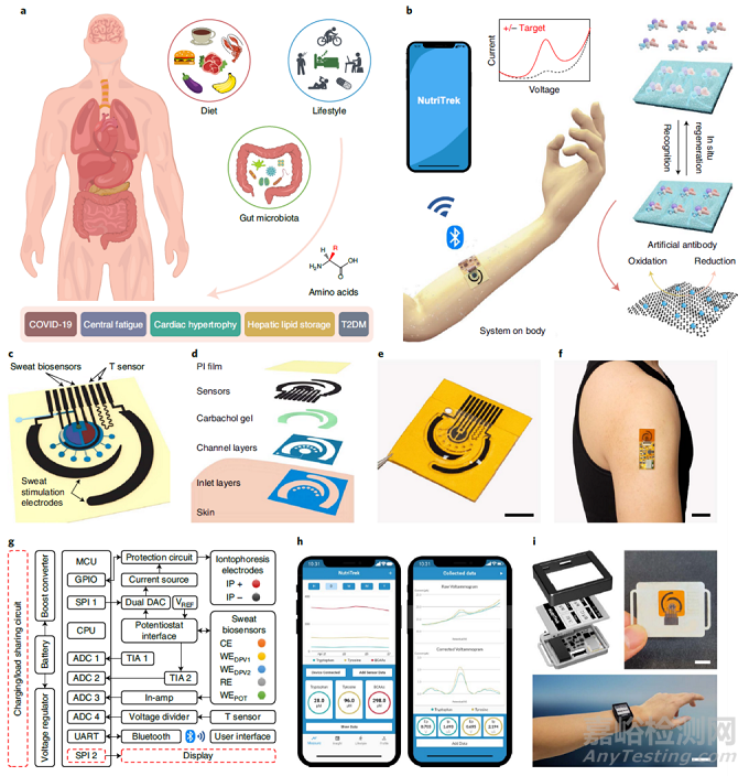 可穿戴電化學傳感器監(jiān)測代謝和營養(yǎng)物質(zhì)