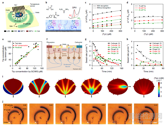 可穿戴電化學傳感器監(jiān)測代謝和營養(yǎng)物質(zhì)