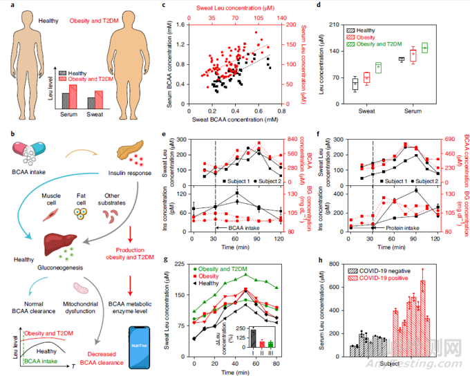 可穿戴電化學傳感器監(jiān)測代謝和營養(yǎng)物質(zhì)