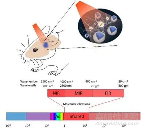 物理因子輔助運(yùn)動(dòng)和感覺康復(fù)的研究介紹與應(yīng)用現(xiàn)狀
