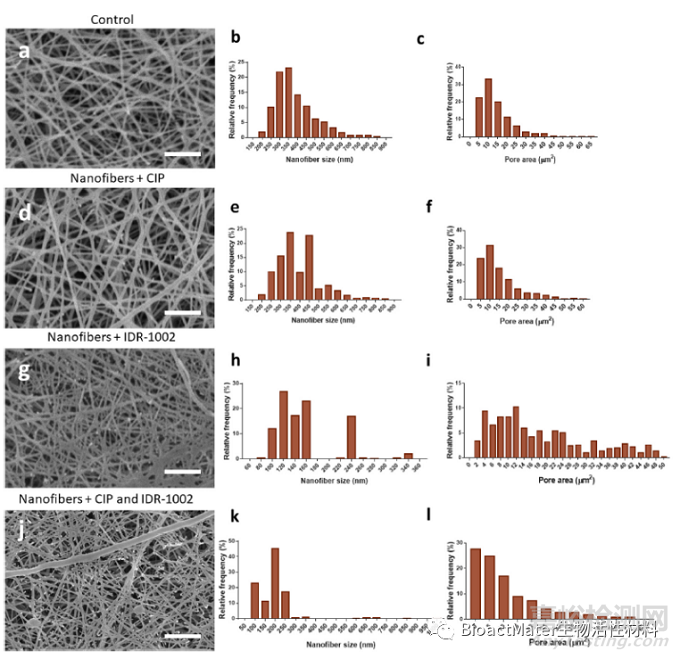 用于牙髓再生程序的抗菌膜和免疫調節(jié)可吸收納米纖維銼