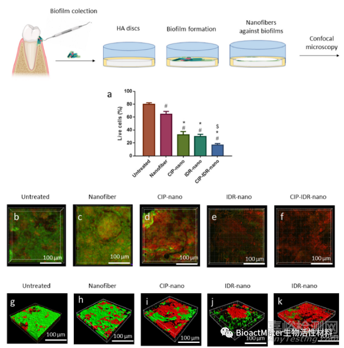 用于牙髓再生程序的抗菌膜和免疫調節(jié)可吸收納米纖維銼