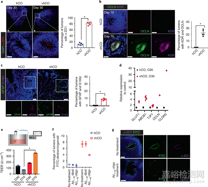 類器官研究的“三大難點(diǎn)”