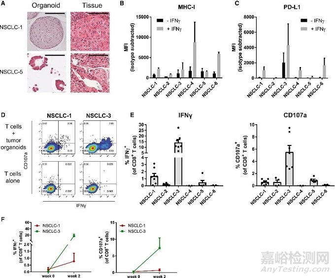 類器官研究的“三大難點(diǎn)”