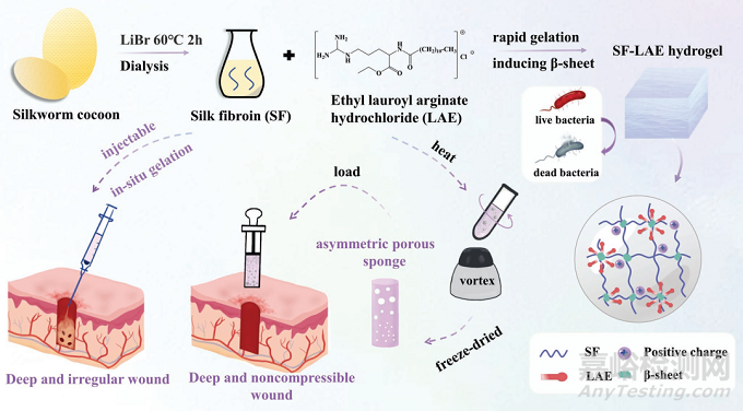 ?15秒超快凝膠化！可注射、抗菌、可降解止血水凝膠，可用于治療不可壓迫性出血