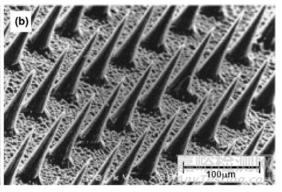 微針技術的最新研究發(fā)展
