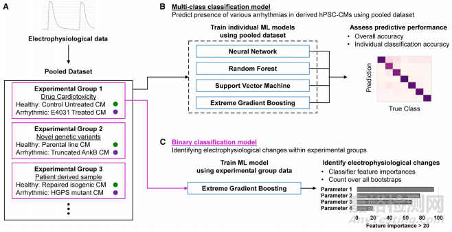 心律失常的AI預(yù)測(cè)方法研究