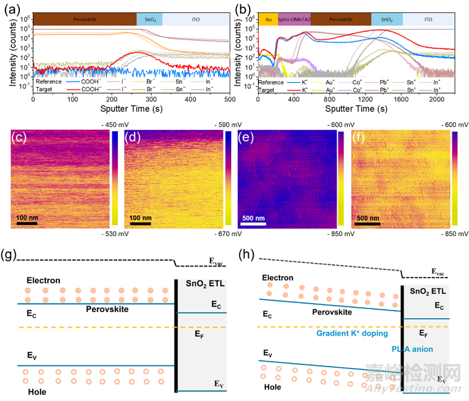 鈣鈦礦太陽(yáng)能電池埋底界面鈍化研究取得進(jìn)展