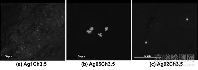 應(yīng)用納米材料的醫(yī)療器械安全性和有效性評(píng)價(jià)指導(dǎo)原則 第二部分：理化表征征求意見(jiàn)（附全文）