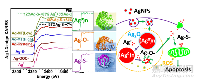 應(yīng)用納米材料的醫(yī)療器械安全性和有效性評(píng)價(jià)指導(dǎo)原則 第二部分：理化表征征求意見(jiàn)（附全文）