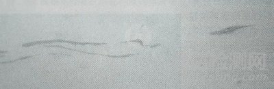 漫談鋼中非金屬夾雜物