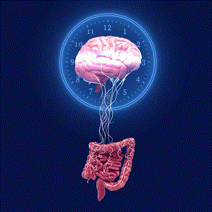 Vibrant：振動膠囊獲FDA批準上市 便秘無需吃藥