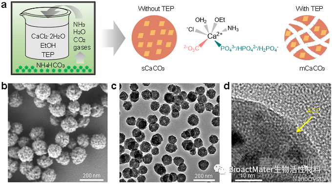 聚合物增強(qiáng)增韌的納米水泥焊接技術(shù)與原理