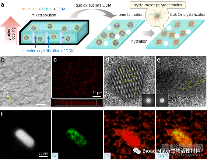 聚合物增強(qiáng)增韌的納米水泥焊接技術(shù)與原理