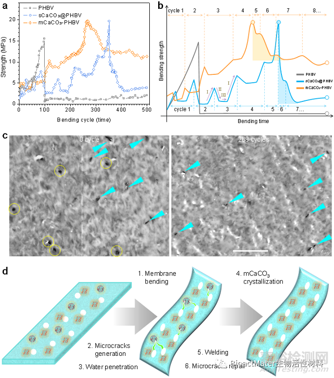 聚合物增強(qiáng)增韌的納米水泥焊接技術(shù)與原理