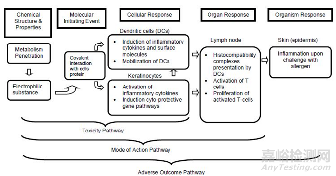 水凝膠產(chǎn)品的生物相容性評(píng)估