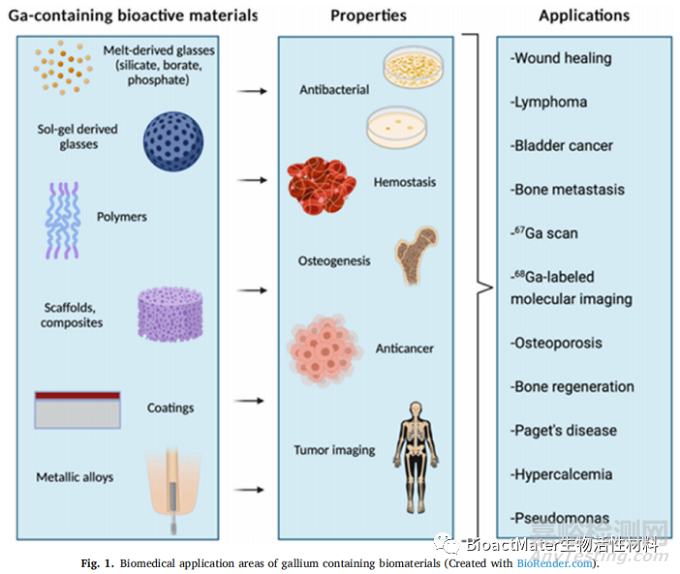 含鎵的生物活性材料在抗癌、抗菌和成骨性能方面的綜述