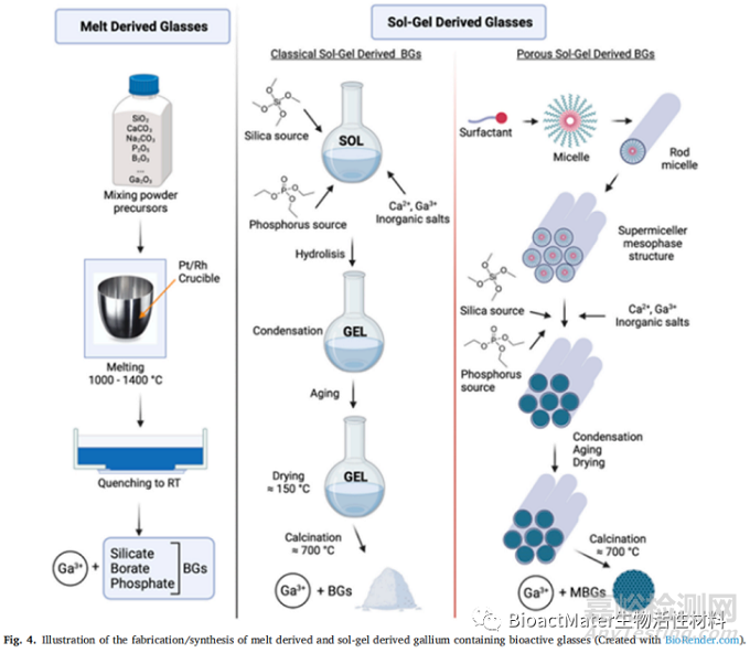 含鎵的生物活性材料在抗癌、抗菌和成骨性能方面的綜述