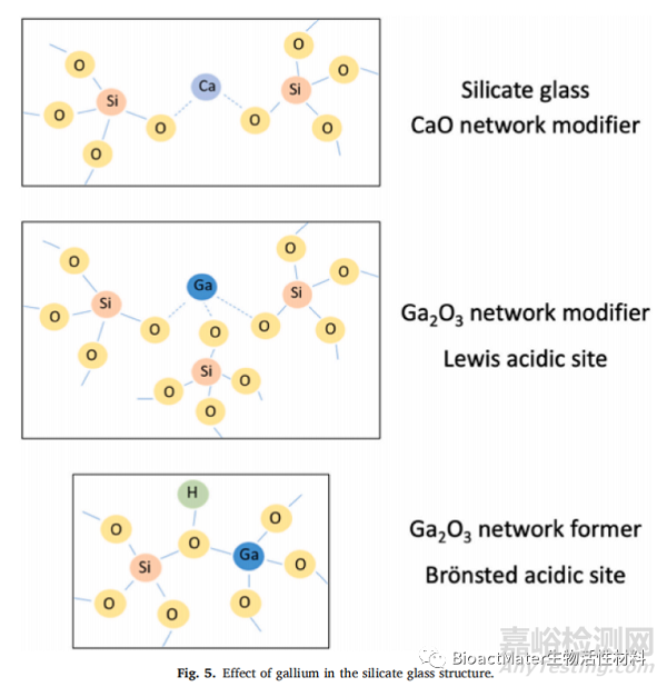 含鎵的生物活性材料在抗癌、抗菌和成骨性能方面的綜述