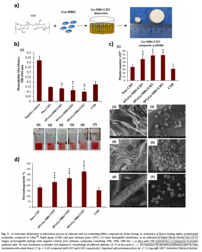 含鎵的生物活性材料在抗癌、抗菌和成骨性能方面的綜述