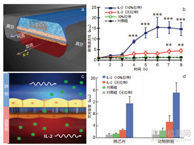器官芯片的實(shí)際應(yīng)用有哪些