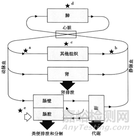 新藥早期開發(fā)中關鍵理化性質考量-滲透性