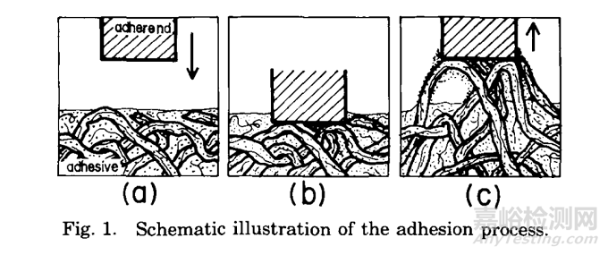 探討基于SIS的熱熔壓敏膠黏附過程中微觀形態(tài)變化