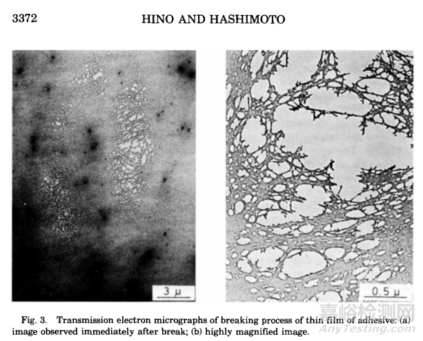 探討基于SIS的熱熔壓敏膠黏附過程中微觀形態(tài)變化