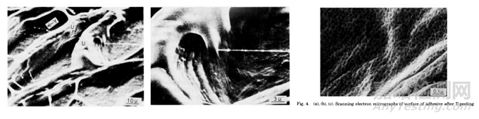 探討基于SIS的熱熔壓敏膠黏附過程中微觀形態(tài)變化