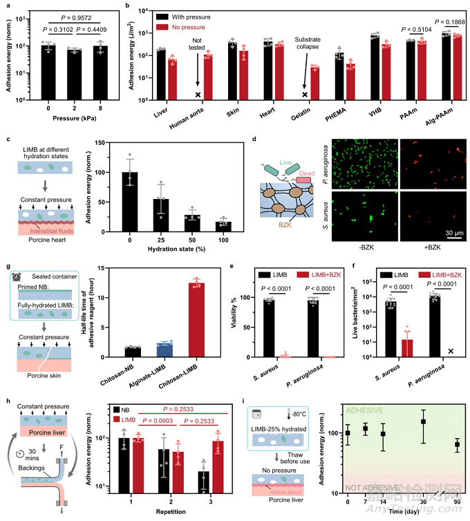 新型固液混合微結(jié)構(gòu)化的生物粘合劑治療不可壓迫大出血