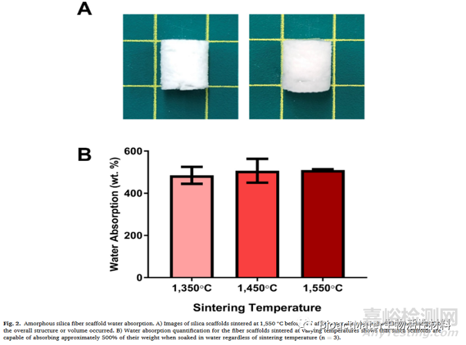 非晶硅纖維基質(zhì)生物材料:組織工程材料的合成與表征分析