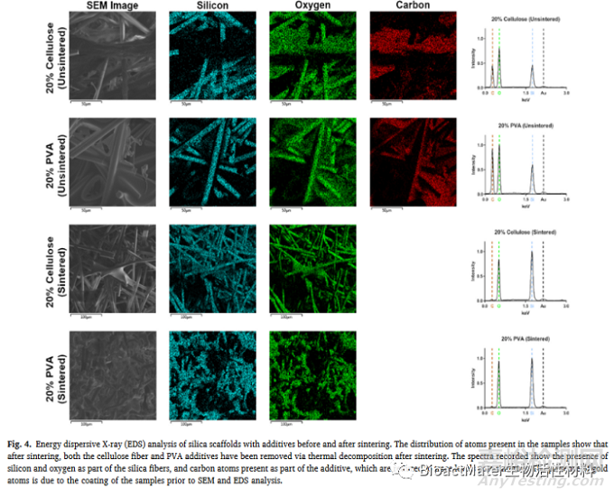 非晶硅纖維基質(zhì)生物材料:組織工程材料的合成與表征分析